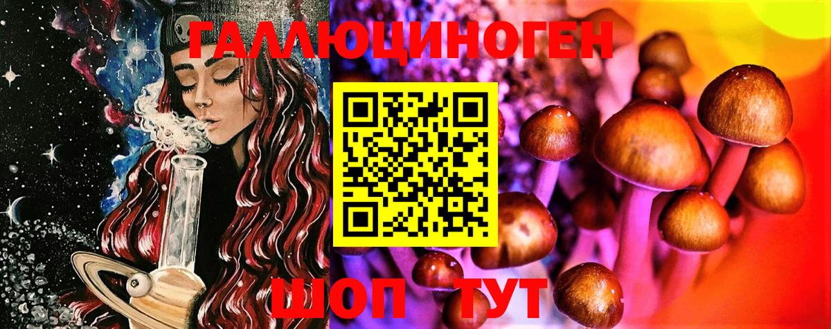 Галлюциногенные грибы MAGIC MUSHROOMS Богданович