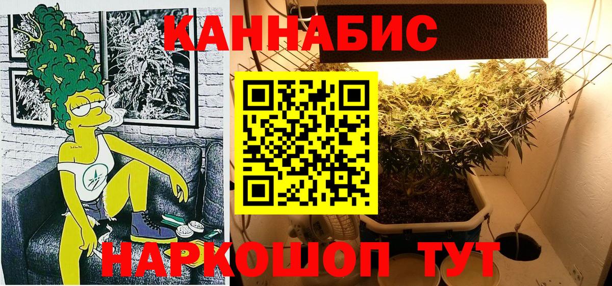 Каннабис Ganja  МАРИХУАНА планчик  Богданович  Марихуана марихуана  Каннабис AK-47  Вход с VPN 